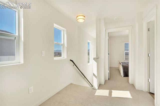 3571 Greenways Main Boulevard, Colorado Springs, CO 80922