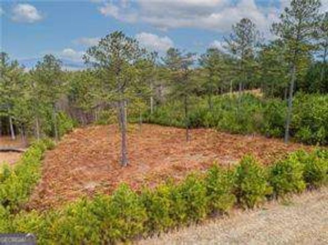 238 The Cove at Thirteen Hundred LOT 238, Blairsville, GA 30512