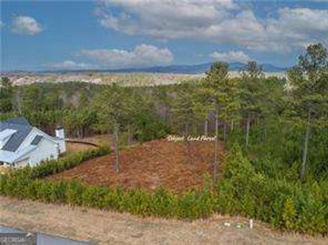 238 The Cove at Thirteen Hundred LOT 238, Blairsville, GA 30512