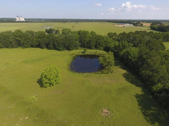 8698 County Road 239, Oakwood, TX 75855
