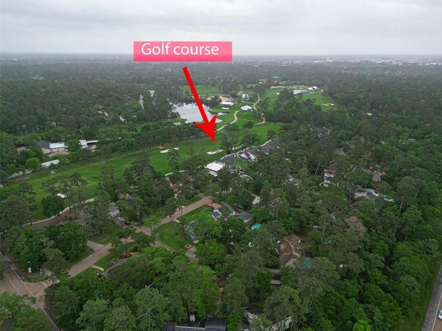 3 Roserush Court, The Woodlands, TX 77380