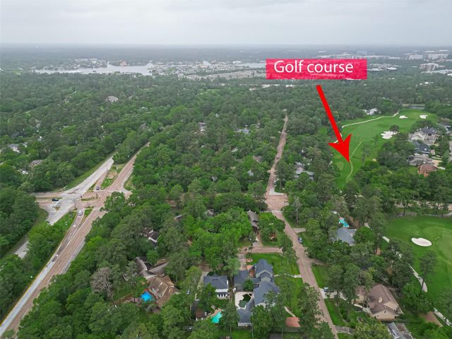 3 Roserush Court, The Woodlands, TX 77380