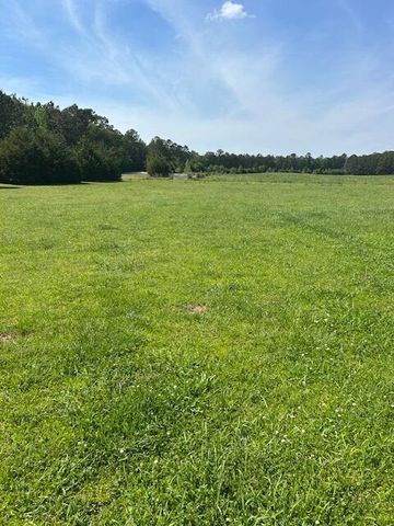 312 N Smyrna Church Road, Washington, GA 30673