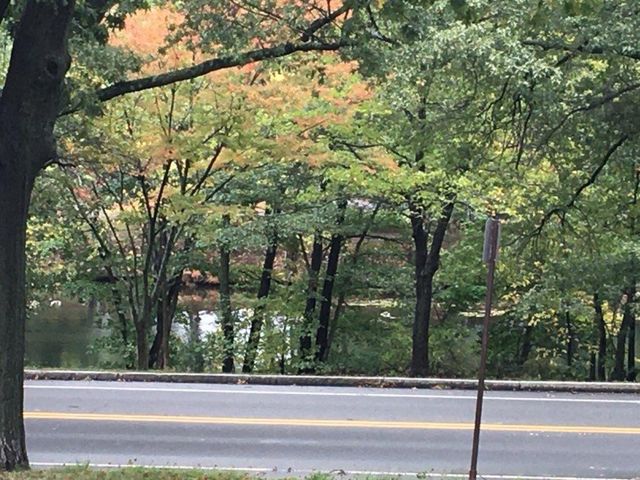 2 Coral St 1, Arlington, MA 02474