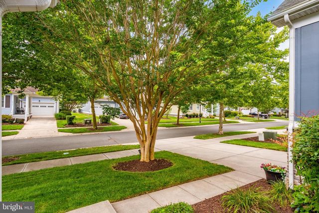 36533 WILD ROSE CIR, Selbyville, DE 19975