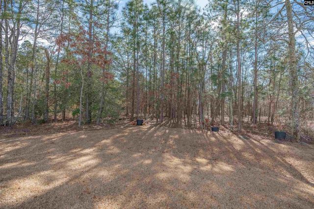 403 Nutsedge Court, Lexington, SC 29072