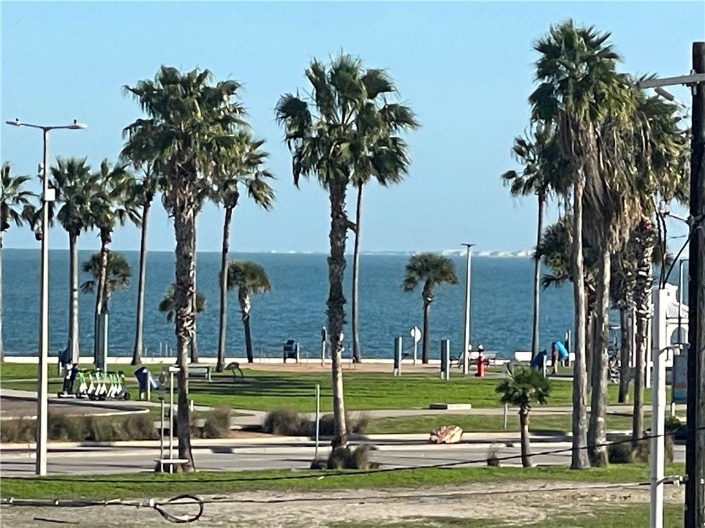 520 S Chaparral St 301, Corpus Christi, TX 78401 — photo 3