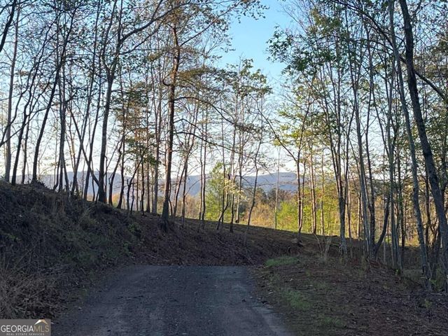 LOT 2 Highway 52 W, Dahlonega, GA 30533