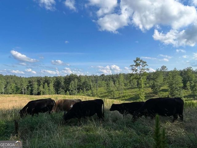 LOT 2 Highway 52 W, Dahlonega, GA 30533
