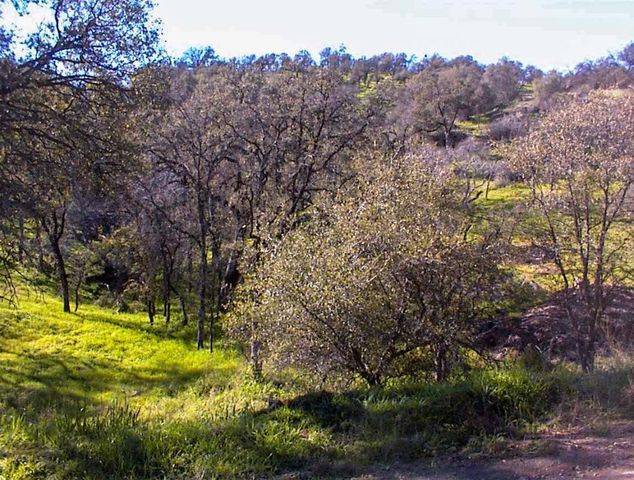 82 Erwin Lane, Yokuts Valley, CA 93675