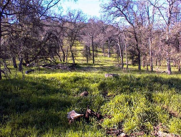 82 Erwin Lane, Yokuts Valley, CA 93675