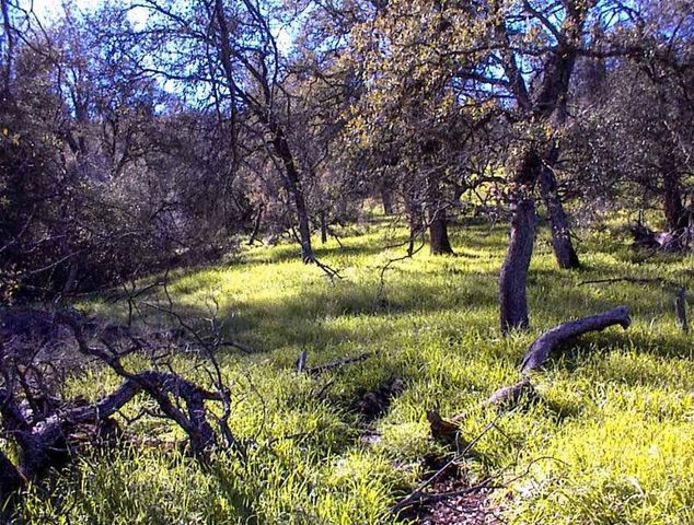 82 Erwin Lane, Yokuts Valley, CA 93675