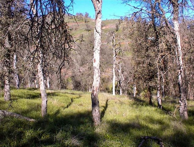 82 Erwin Lane, Yokuts Valley, CA 93675