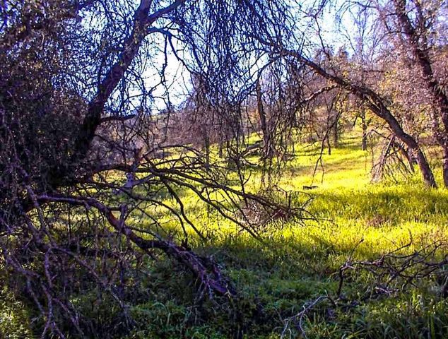 82 Erwin Lane, Yokuts Valley, CA 93675