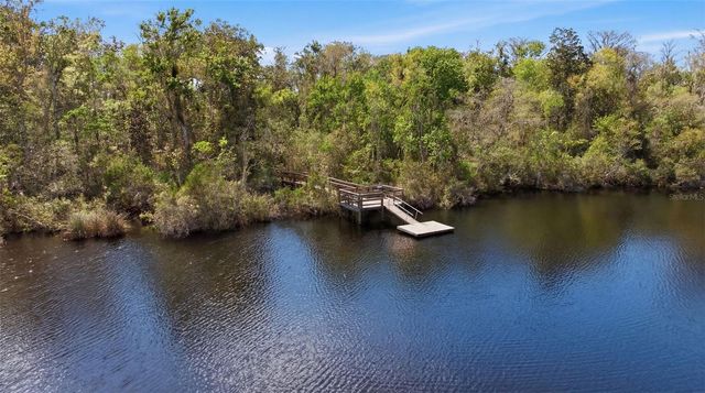 12007 HUNTERS LAKE DRIVE, New Port Richey, FL 34654