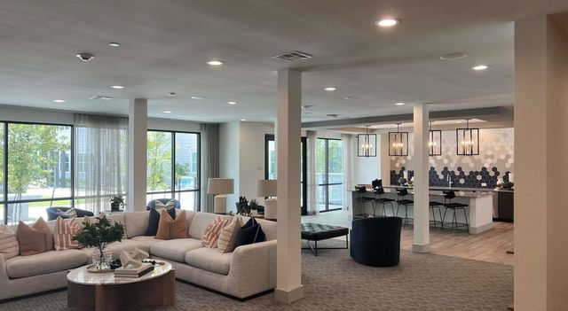 19101 Town Ridge Lane 6310, Webster, TX 77598