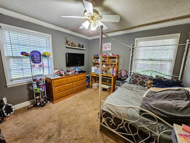 206 Hilltop Dr, Shelbyville, TN 37160