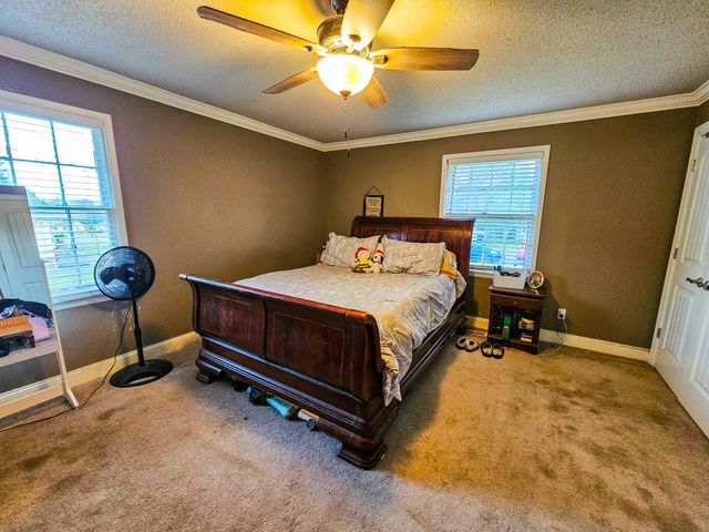 206 Hilltop Dr, Shelbyville, TN 37160
