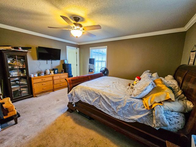 206 Hilltop Dr, Shelbyville, TN 37160