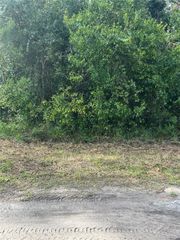 PT LTS 120-122 LK EUSTIS W HERRICK AVENUE, Eustis, FL 32726