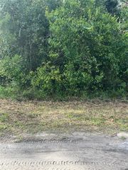 PT LTS 120-122 LK EUSTIS W HERRICK AVENUE, Eustis, FL 32726