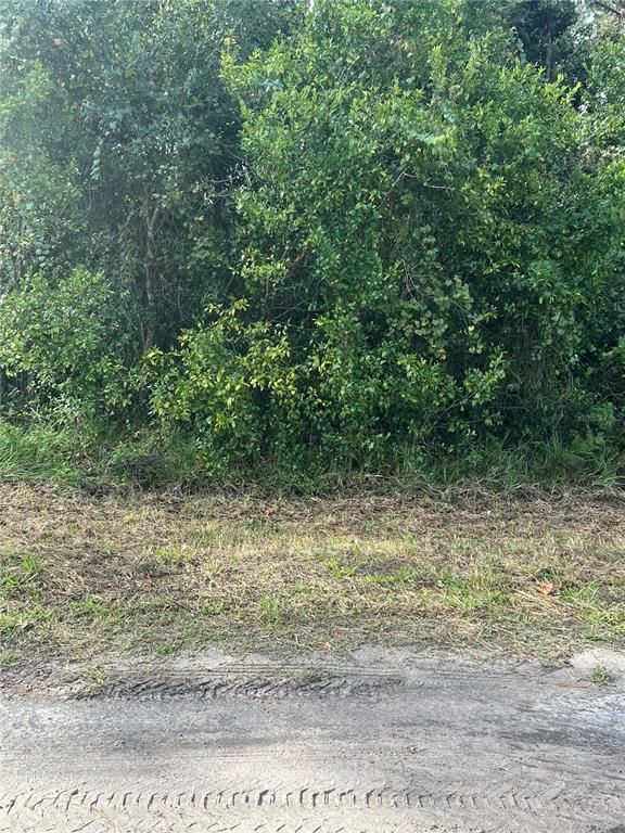PT LTS 120-122 LK EUSTIS W HERRICK AVENUE, Eustis, FL 32726