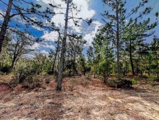 Cherry St, Interlachen, FL 32148