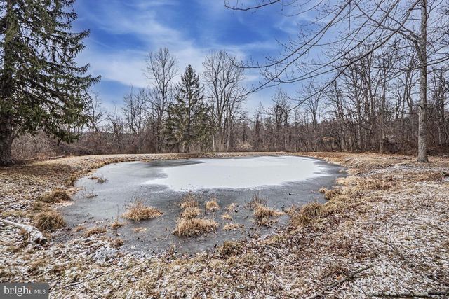 16834 BUCK LANTZ RD, Sabillasville, MD 21780