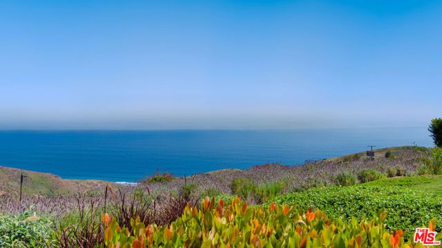 2900 Corral Canyon Road, Malibu, CA 90265