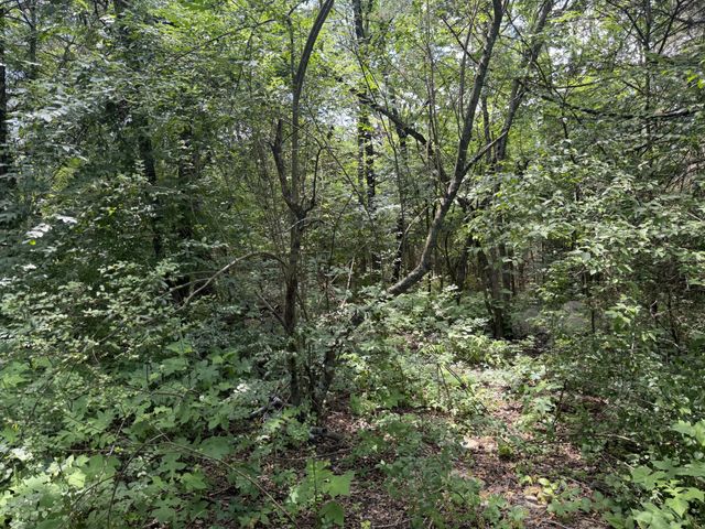 4750 Franklin Road, Lebanon, TN 37090
