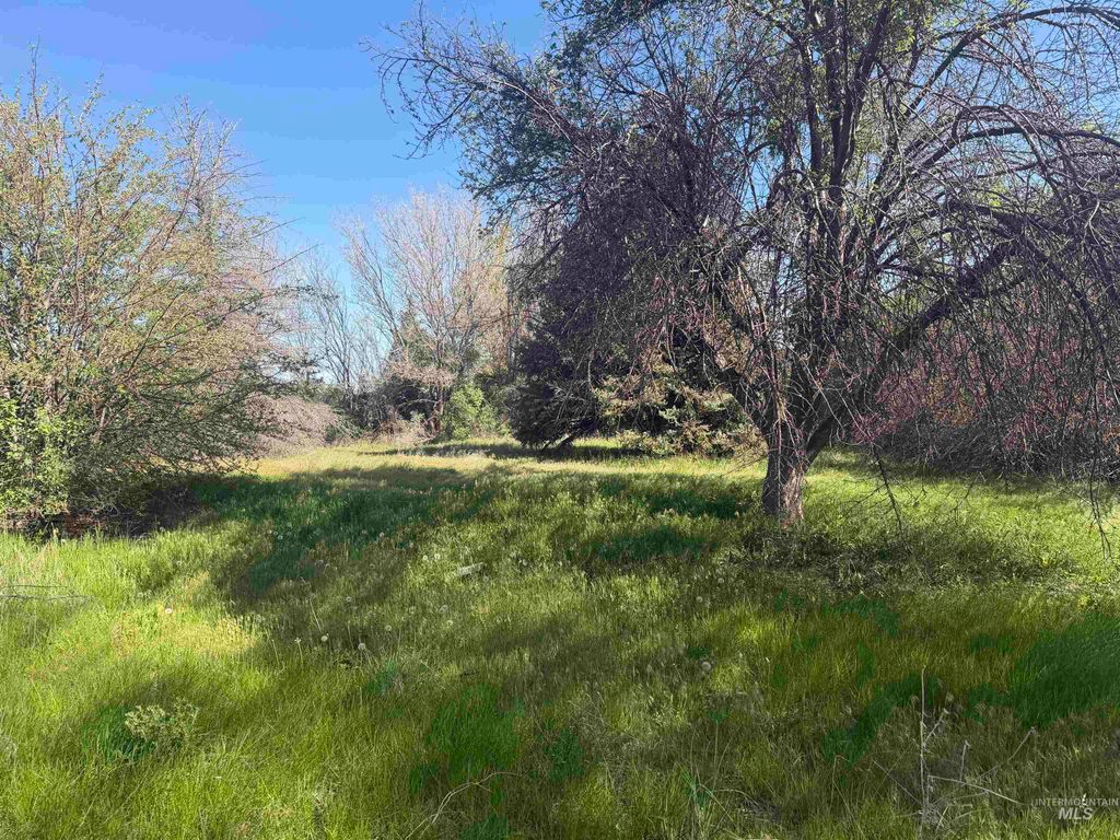 495 Illinois Street, Bliss, ID 83314 photo 3