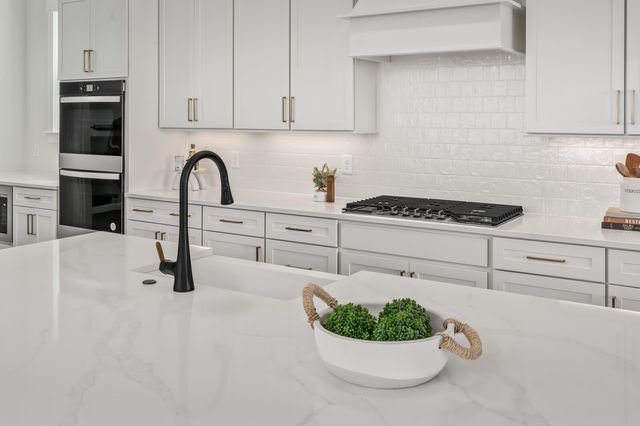 3224 Hunziker Lane, Fairview, TN 37062