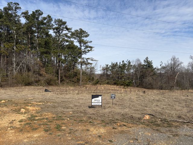 3224 Hunziker Lane, Fairview, TN 37062