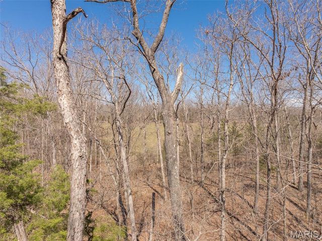 2442 Linden Point Drive, Innsbrook, MO 63390