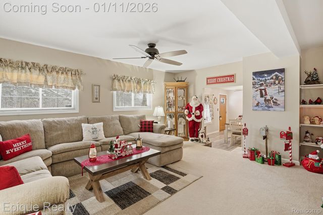 1422 E Barnes Lake Road, Deerfield Township, MI 48421