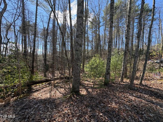 Lot 30 Gene Drive, Butler, TN 37640
