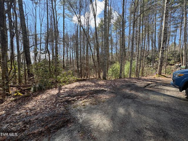 Lot 30 Gene Drive, Butler, TN 37640
