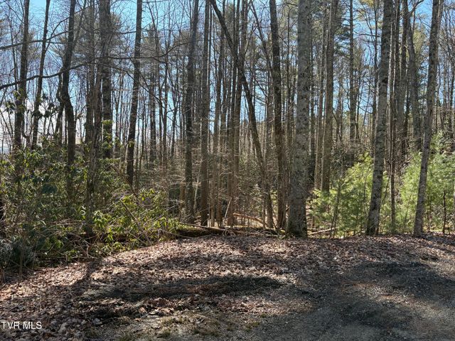 Lot 30 Gene Drive, Butler, TN 37640