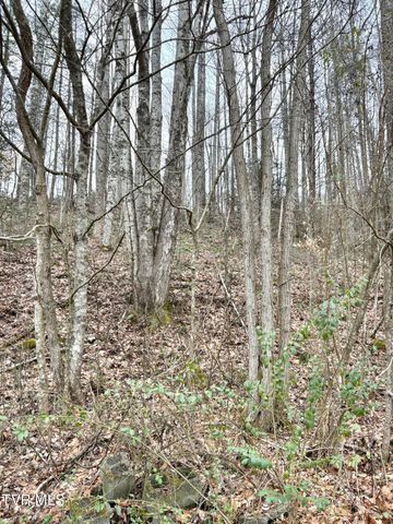 Lot 30 Gene Drive, Butler, TN 37640