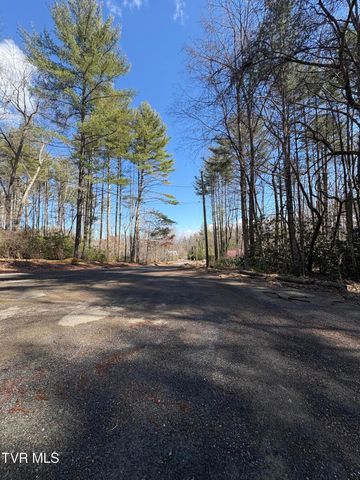 Lot 30 Gene Drive, Butler, TN 37640