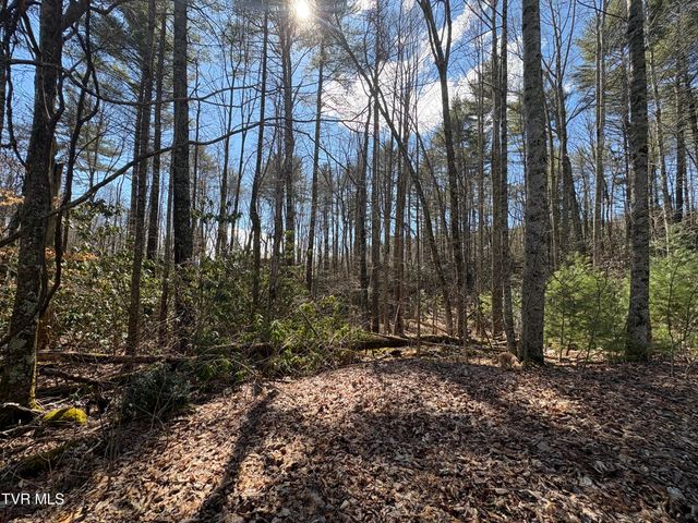 Lot 30 Gene Drive, Butler, TN 37640