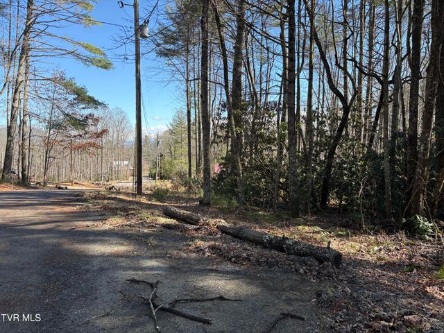Lot 30 Gene Drive, Butler, TN 37640