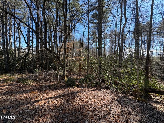 Lot 30 Gene Drive, Butler, TN 37640