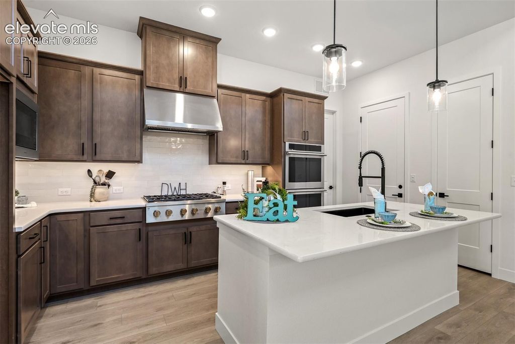 9020 Frolic View, Colorado Springs, CO 80924 — photo 4