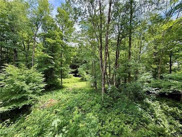 2168 Mad River Road, Camden, NY 13316