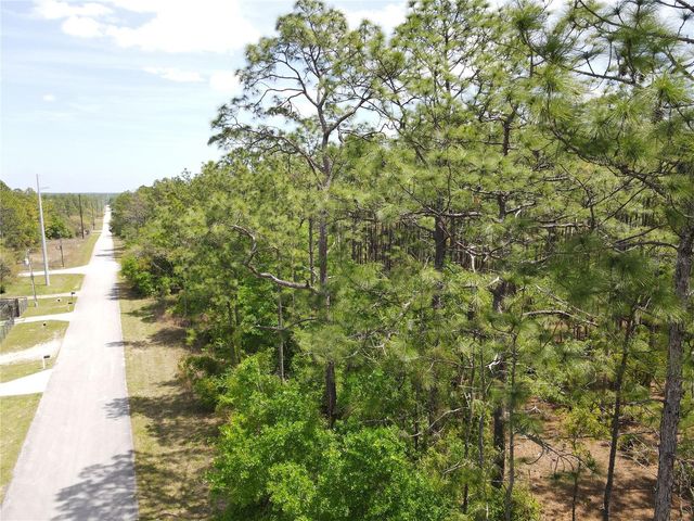 SW 59 LANE, Dunnellon, FL 34431