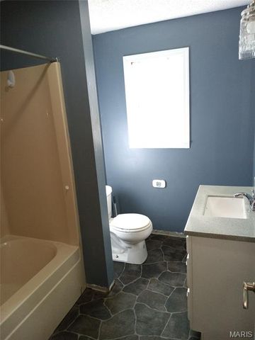 339 W Castor Street, Dexter, MO 63841