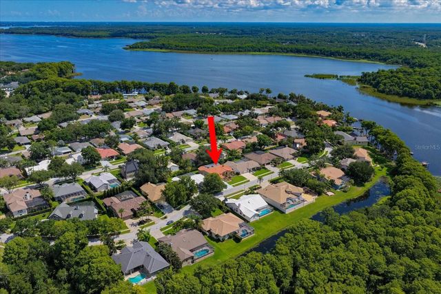 3909 TARIAN COURT, Palm Harbor, FL 34684