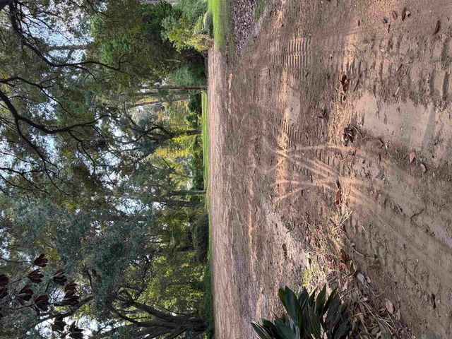 657 Sunset Blvd, Baton Rouge, LA 70808