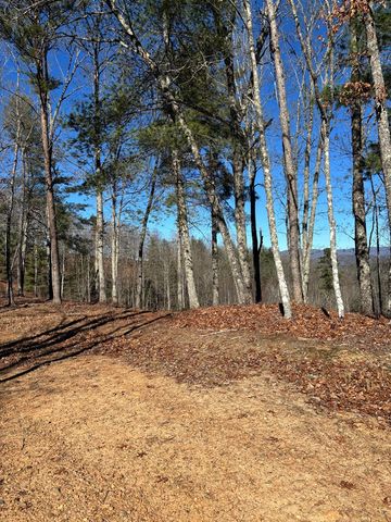 Lot 63 Thundering Hill, Murphy, NC 28906